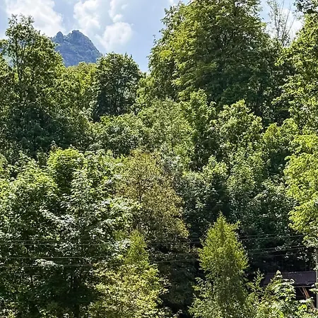 Mezi Stezkami * Hejnice (Liberec)